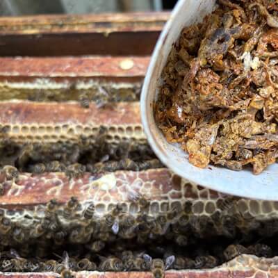 Propolis am Bienenstock